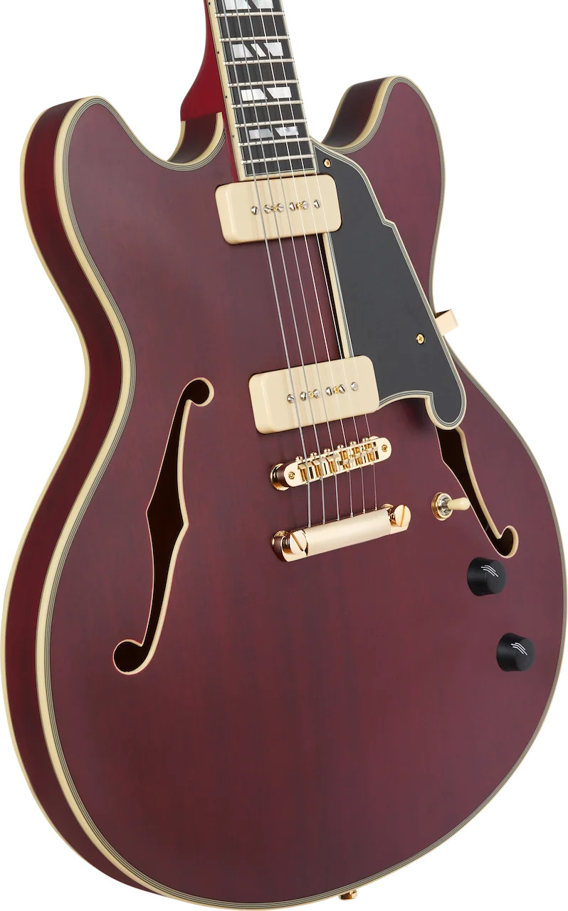 D’Angelico Deluxe DC Semi-hollowbody Electric Guitar – Satin Trans Wine