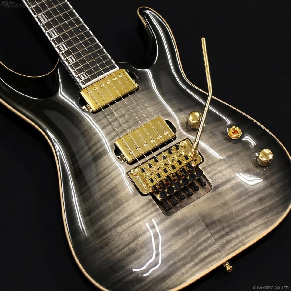EDWARDS / E-HORIZON-CTM 50TH – Ash Black Burst C / Black Pearl Back