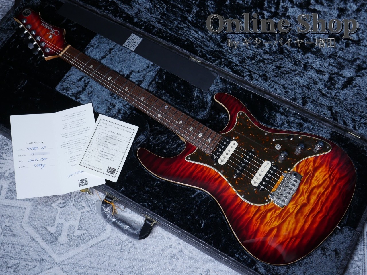 Freedom Custom Guitar RE Hydra 2-Point Electric Guitar Used 2017
