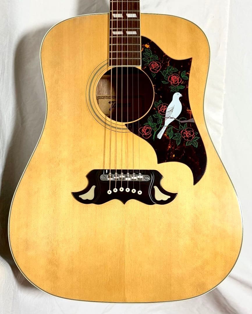 [New strings replaced] Tomson acoustic guitar TG-250 DOVE type Kiso Suzuki