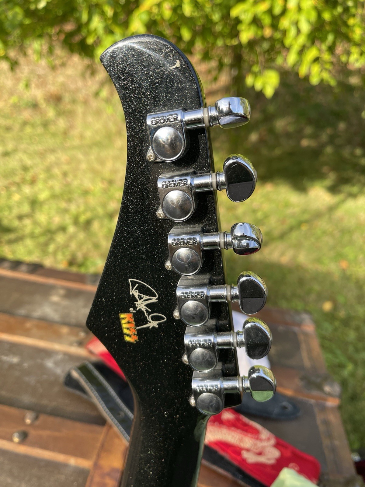 Paul Stanley Apocalypse Guitar (Pro Model) With Custom Silvertone Hard Case