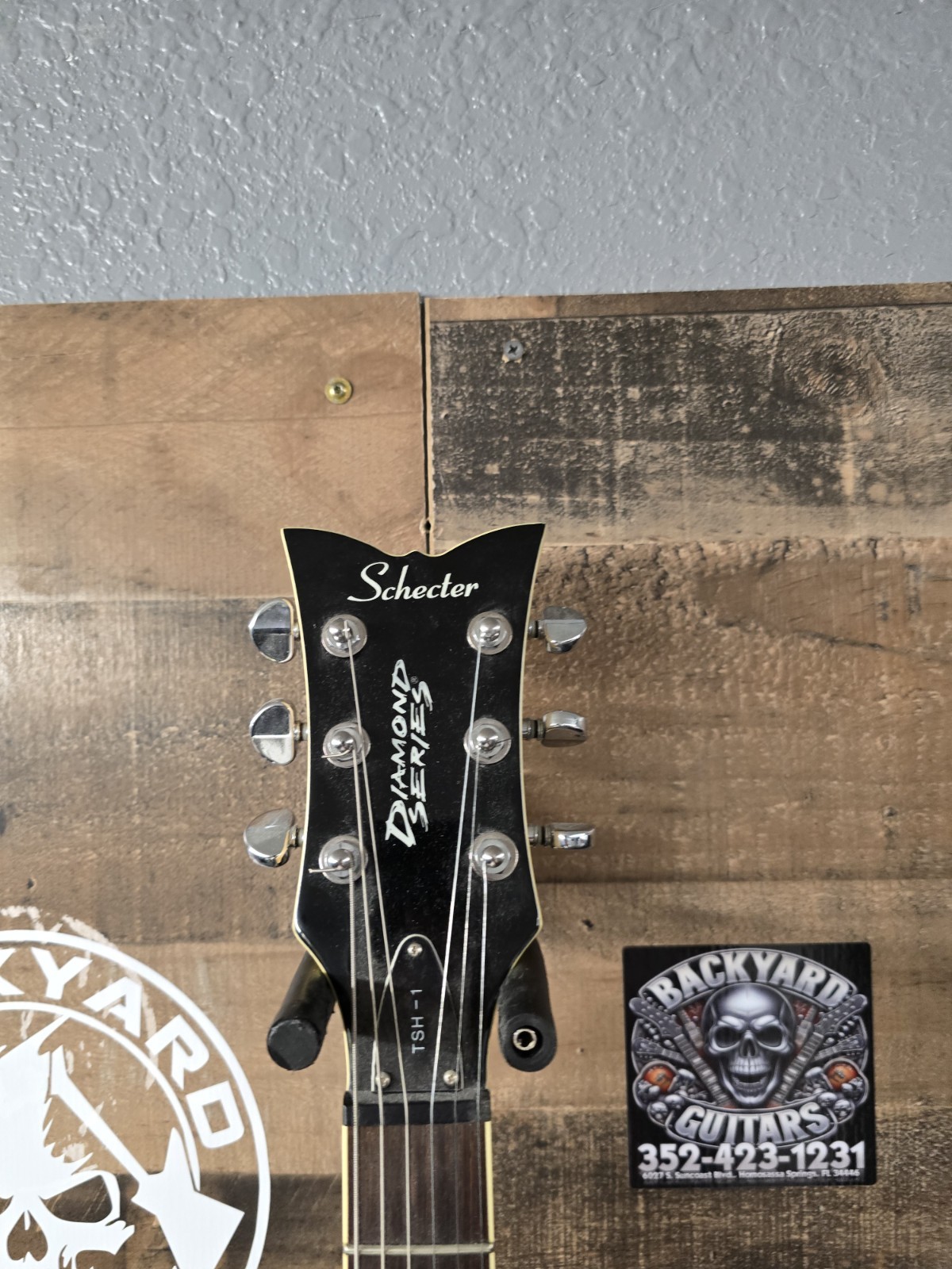 Schecter TSH-1 Diamond Series Electric Guitar – With Gig Bag