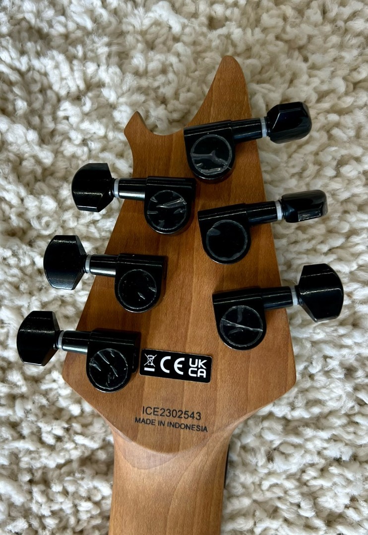 EVH Wolfgang® WG Standard, Baked Maple Fingerboard, Absinthe Frost Elec. Guitar