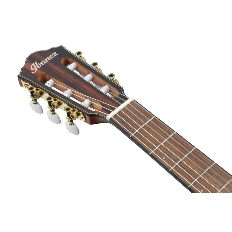 Ibanez FRH10N-NTF Nylon Electric Guitar Natural Flat FR Hollow Body with Gig Bag