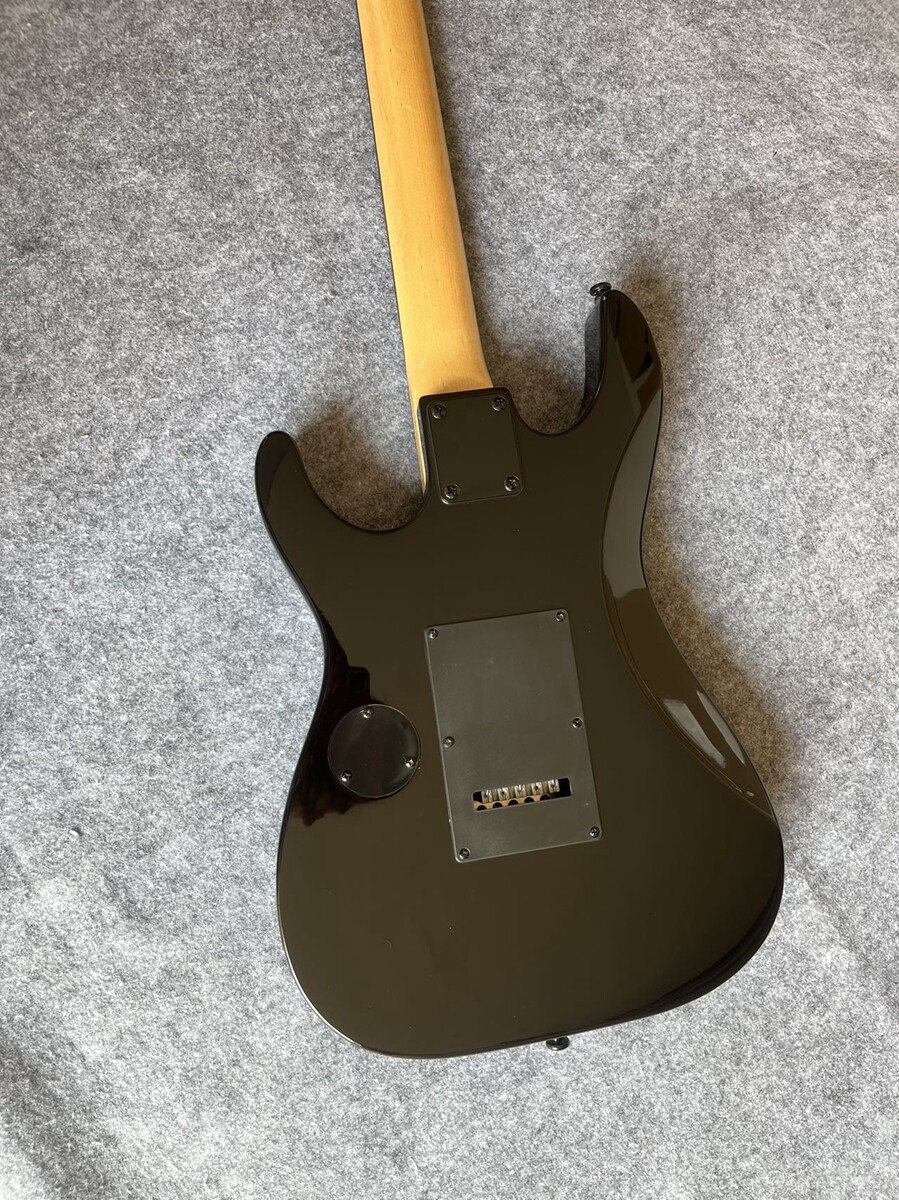 Custom Skull Snake Graphic Electric Guitar Double Locking Tremolo SH Pickups