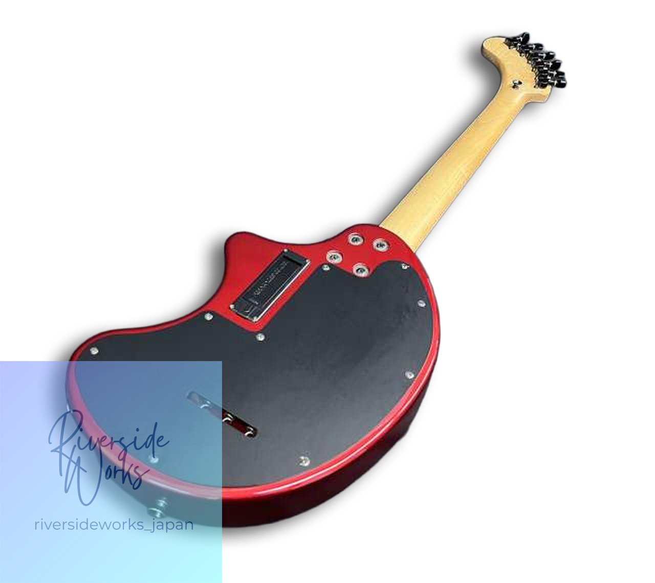 Fernandez Portable Indoor/Outdoor Amp Guitar ZO-3 Talent
