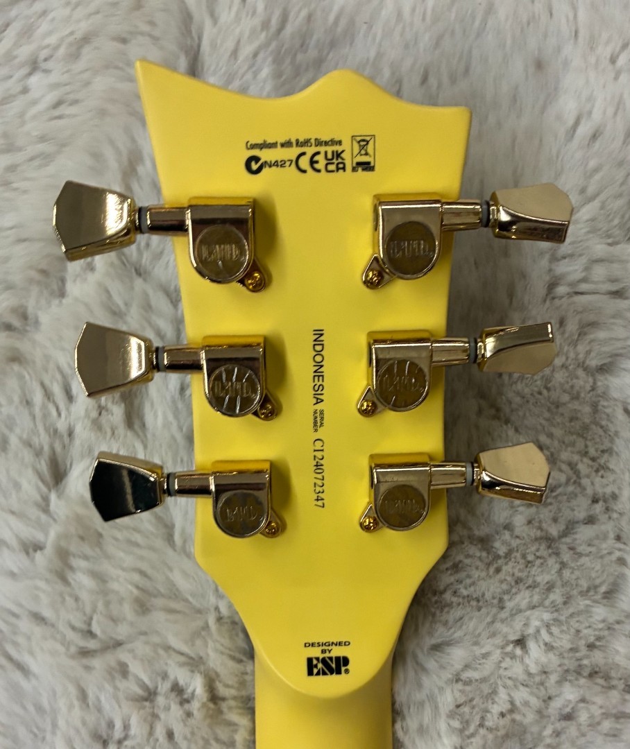 LTD by ESP Model EC-256 Vintage Gold Satin Finish Single Cutaway Electric Guitar