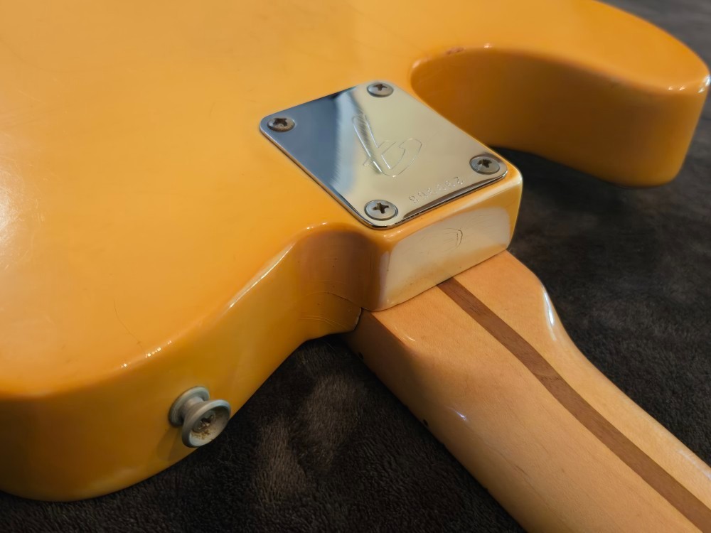 Vintage 1970 Fender Telecaster w/case ALL ORIGINAL