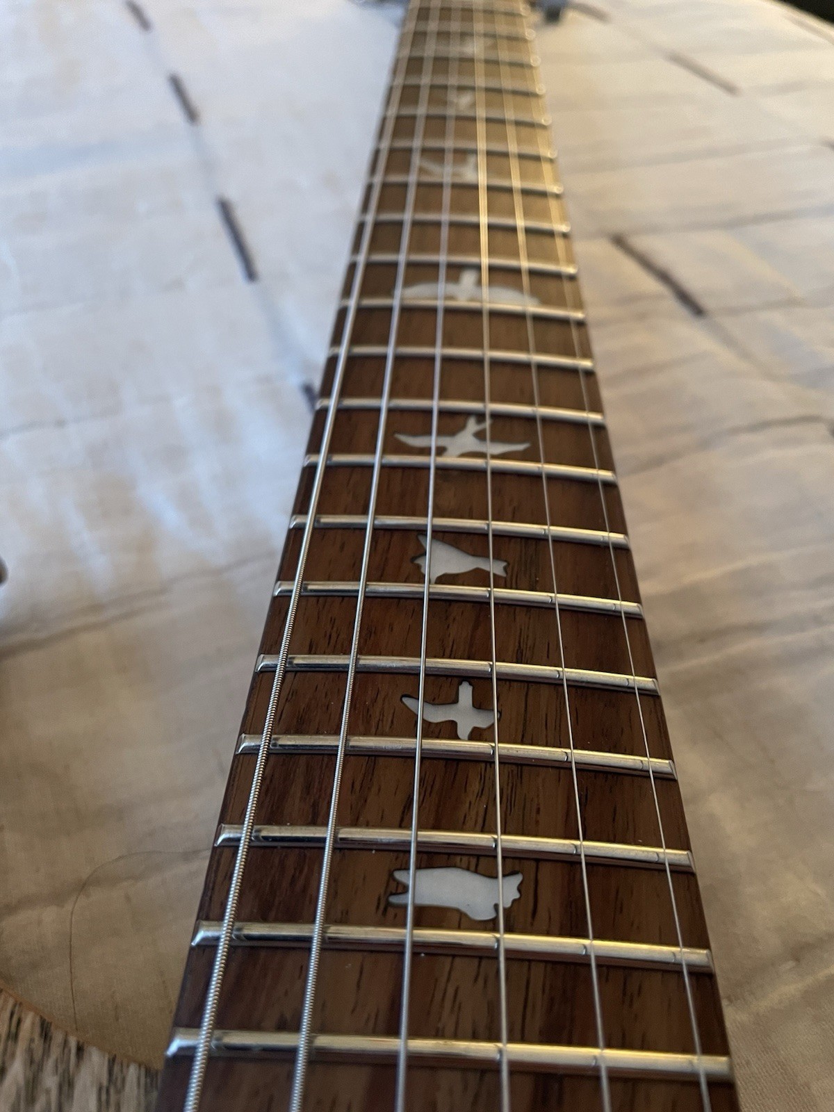 PRS SE Custom 24 “Exotic” Burled Ash Limited Edition Electric Guitar Natural