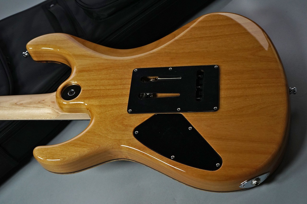 Freedom Custom Guitar RE O.S. Hydra 24F 2-Point Spalted Maple Top Lapis Used
