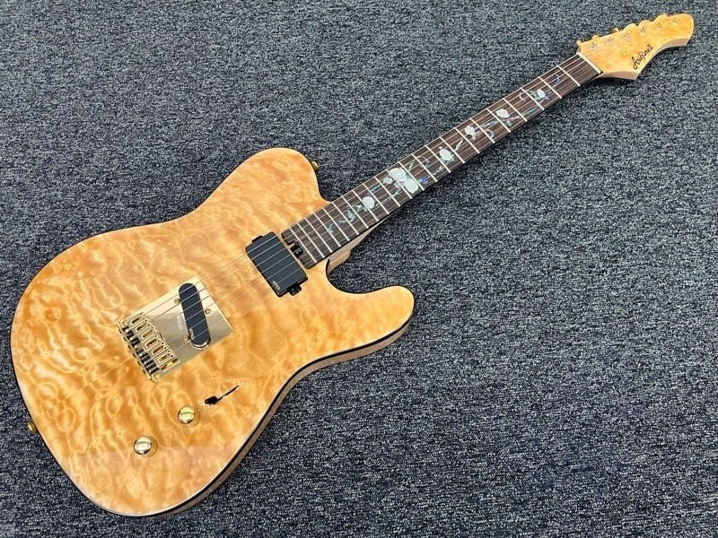 Aria Pro Ii Teg-780 Safe delivery from Japan