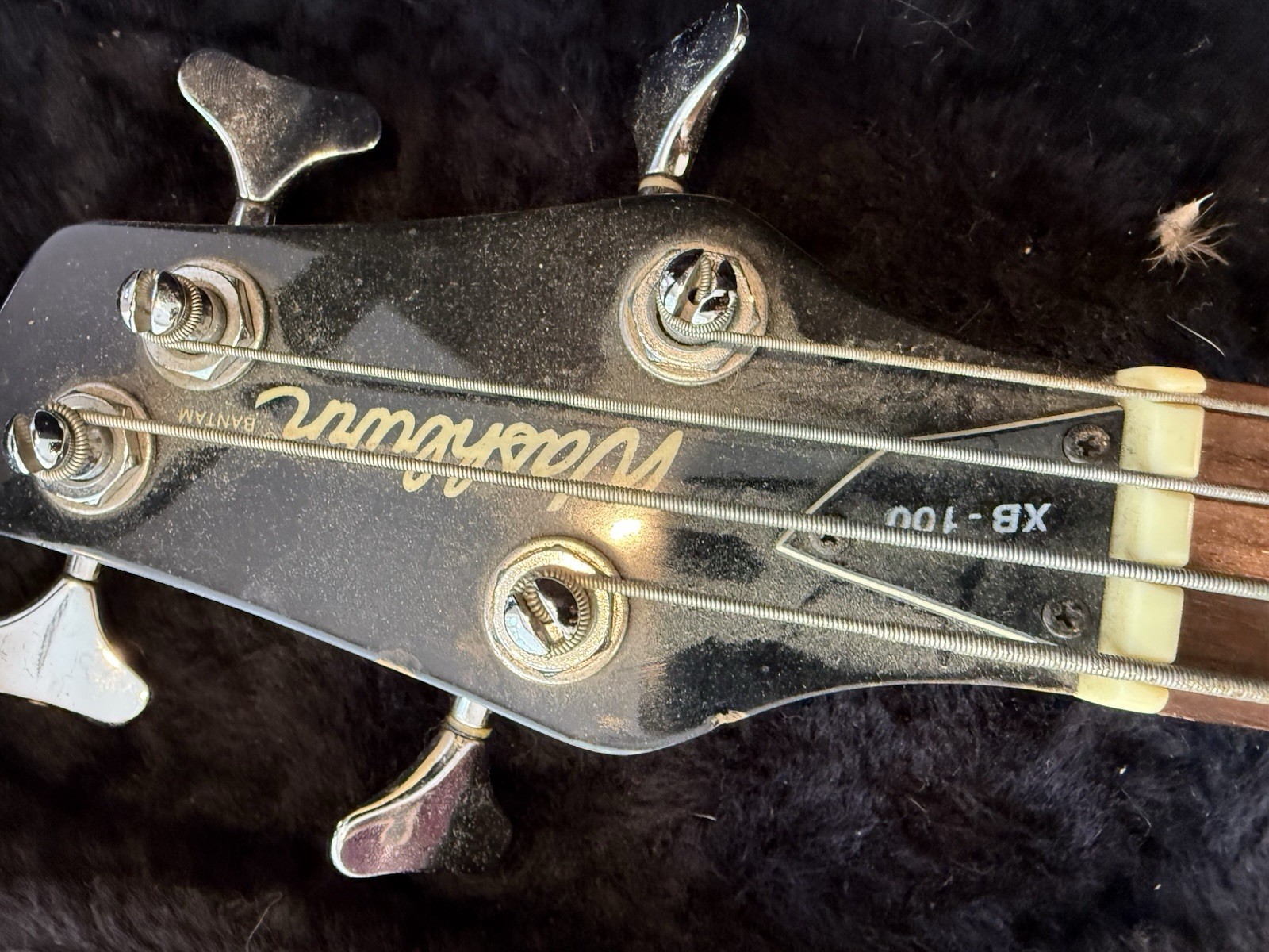 Washburn Xb-100 Signed By Non-Point. With Hard Case!!!