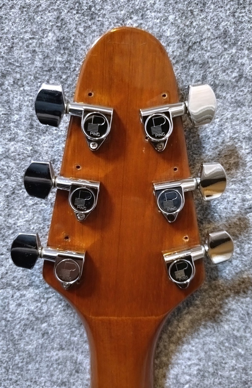 Harmony Flying V