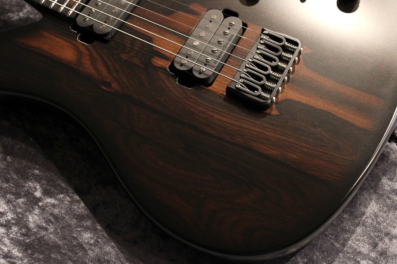 RUF Guitars Professor Schrödinger 6 Ziricote All Carbon Used