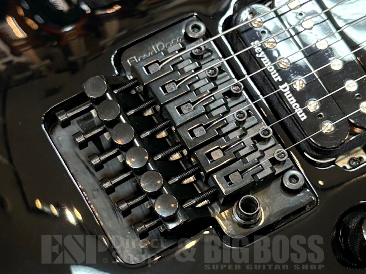 EDWARDS E-HORIZON-I Black #GGcde