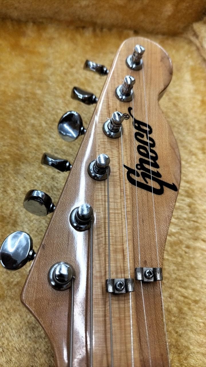 GRECO TELECASTER TYPE Electric Guitar