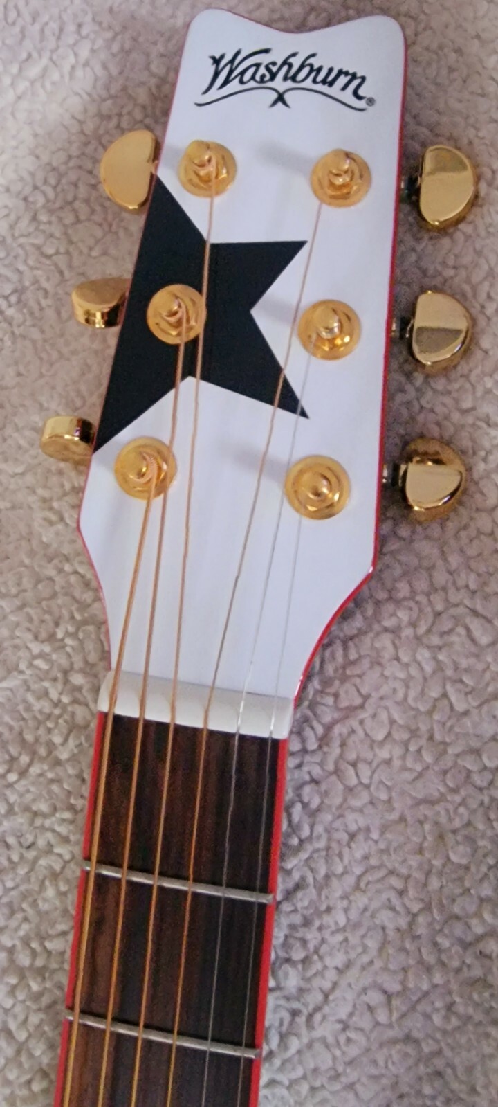 KISS Paul Stanley Signature Acoustic/Electric Guitar washburn ps11e COMPLETE