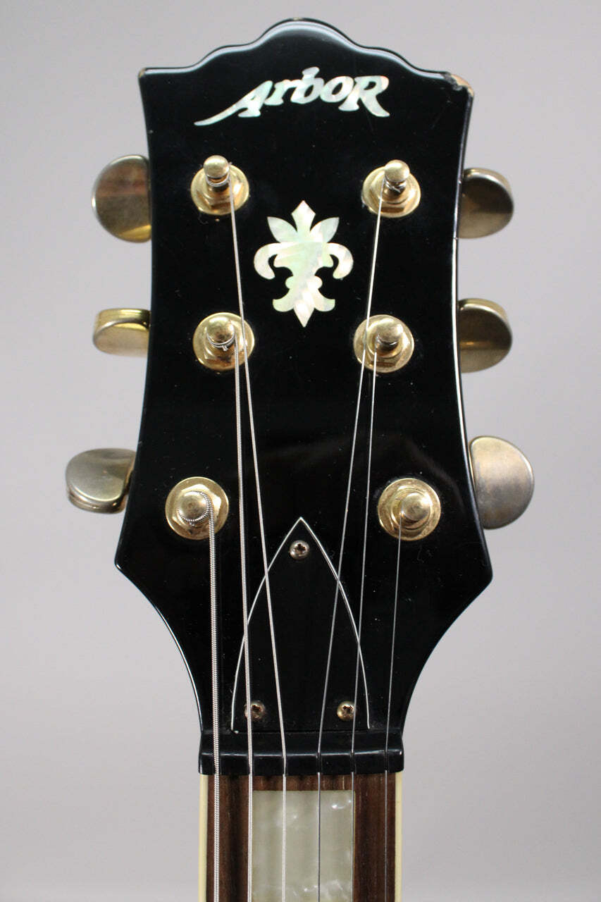 Arbor Les Paul Copy Black Gloss Finish