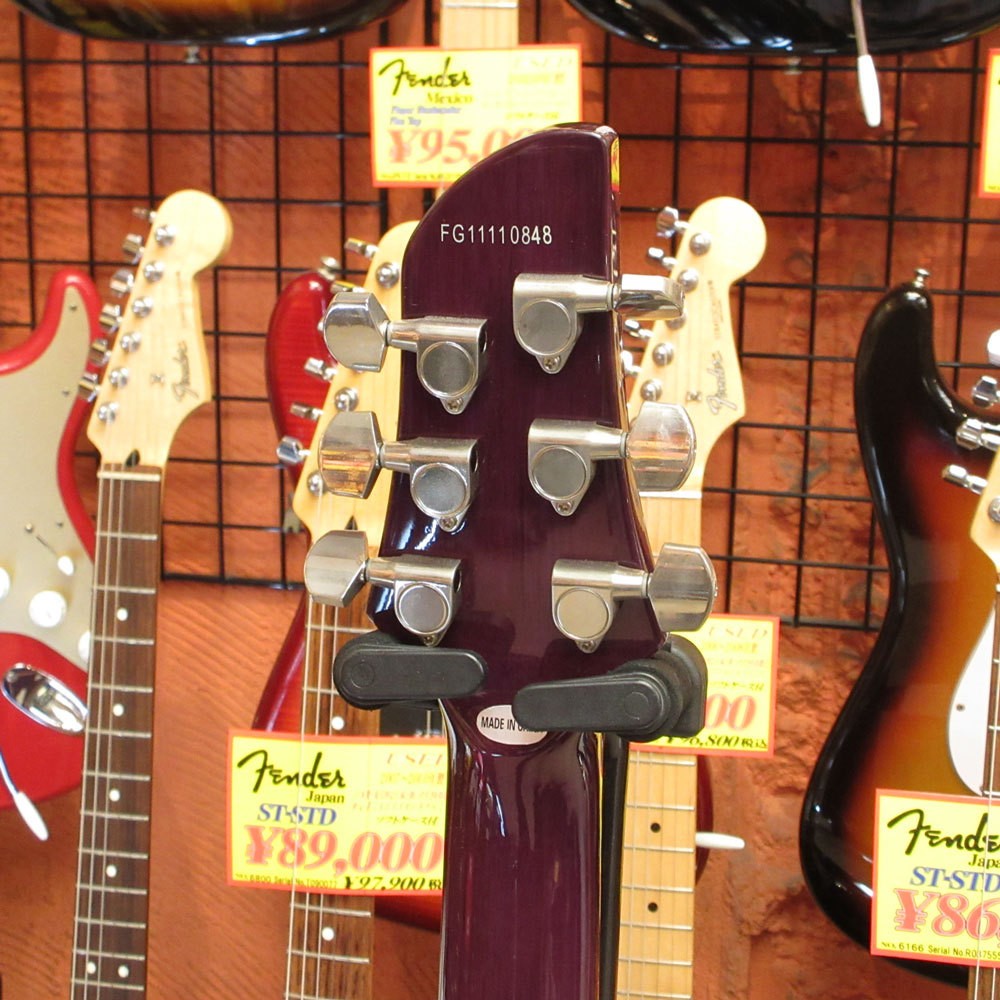 FERNANDES APG Standard (no260621)