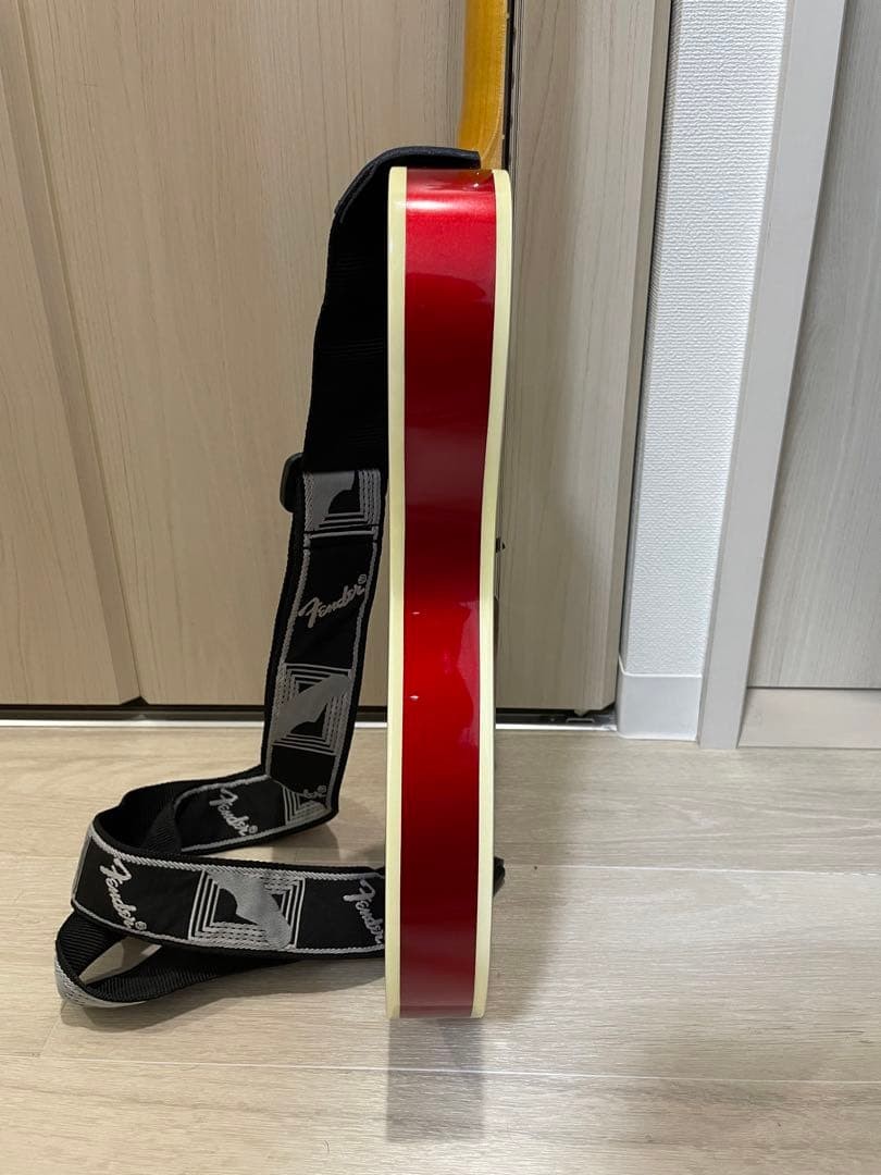 Fender Japan Telecaster Red Nazca Gig Bag