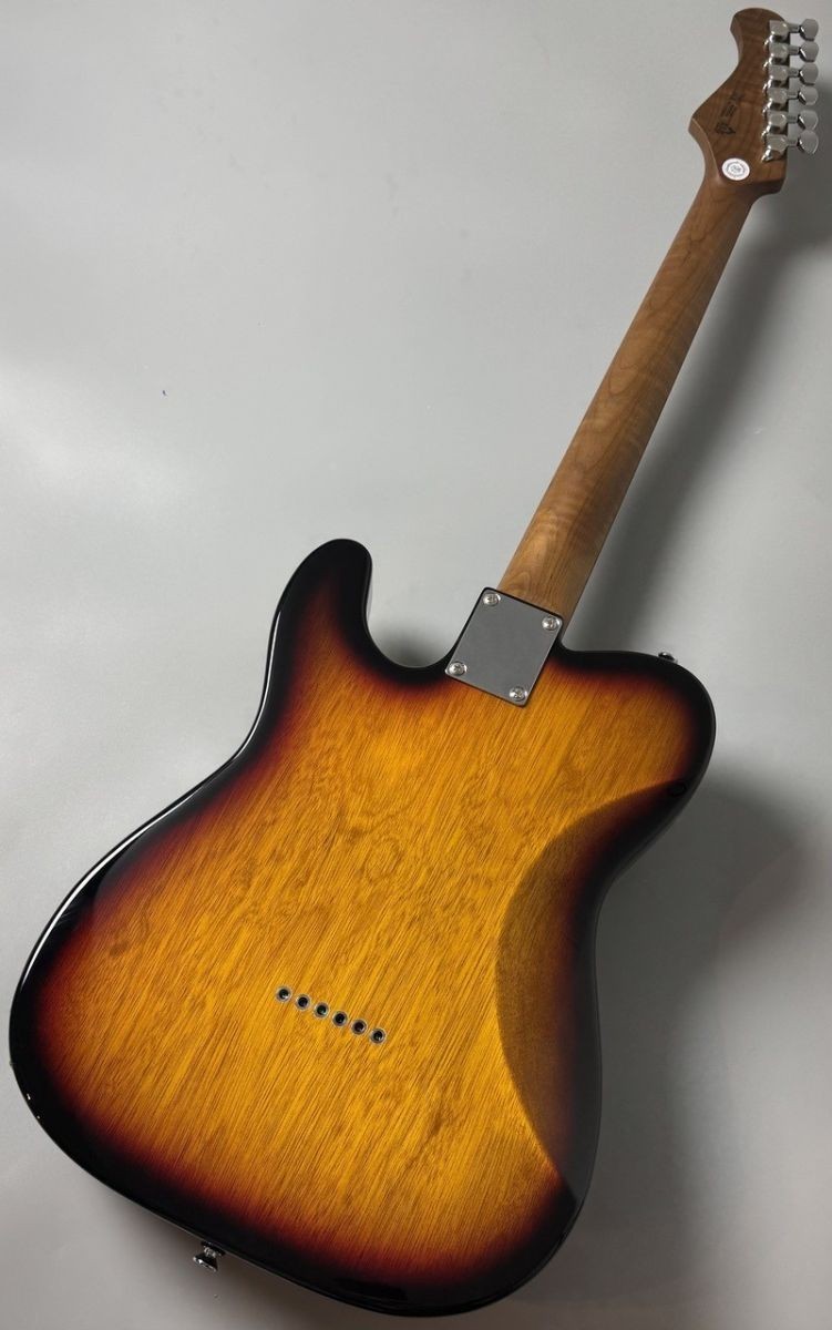 Bacchus / Global Series TACTICS-STD/RSM – 3 Tone Sunburst TL Type