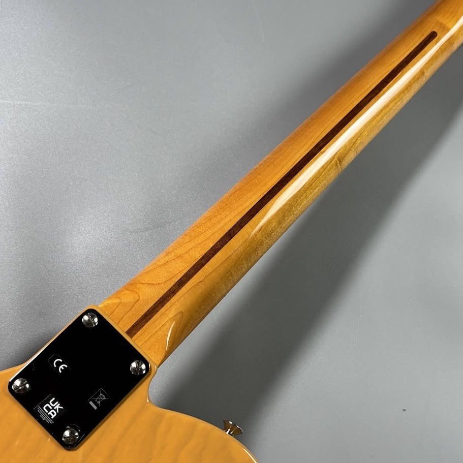 Fender AM VIN II 1951 T with hard case 3.75kg Electric Guitar