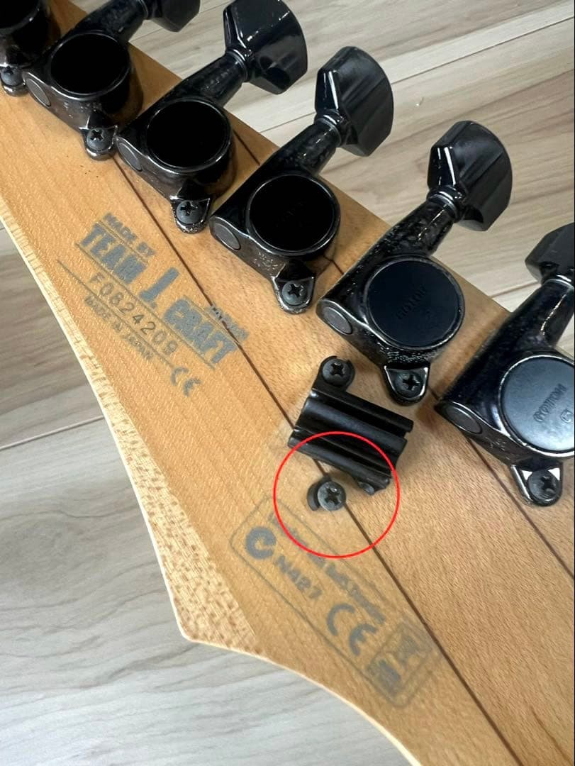 Limited Production Model Ibanez Prestige Rg2450Mz