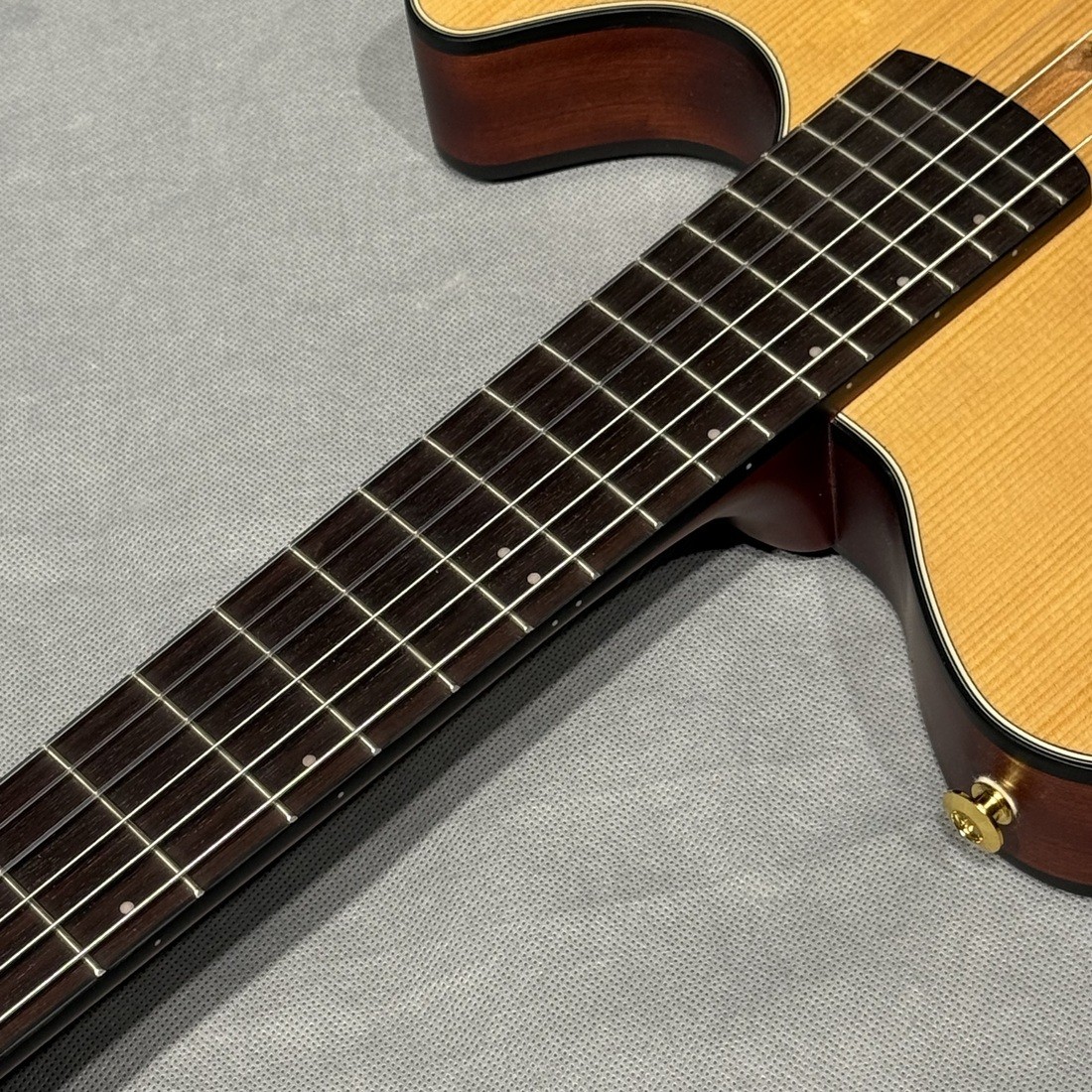 Ibanez FRH10N-NTF Natural Flat Nylon Electric Guitar with gig bag