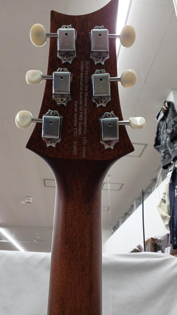PAUL REED SMITH SE P20 Electric Acoustic Acoustic