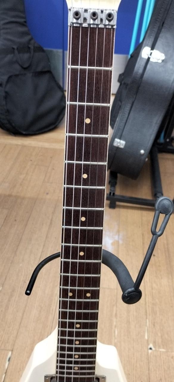 FERNANDES / BSV-70 (no260604)
