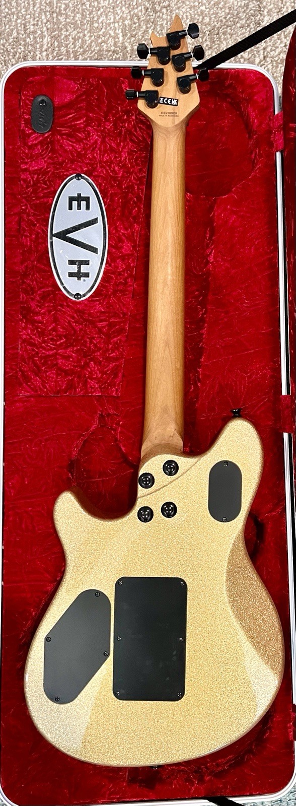 2022 EVH wolfgang standard guitar