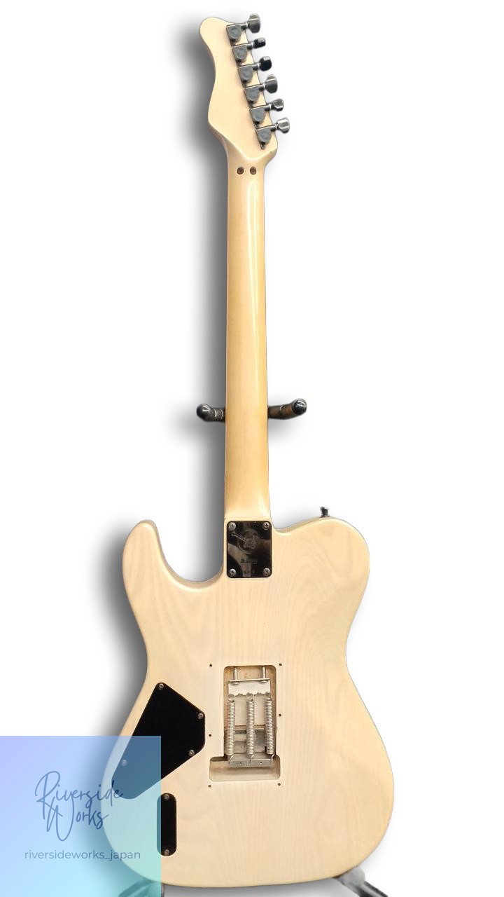Valley Arts Electric Guitar M Series Professional Quality JP