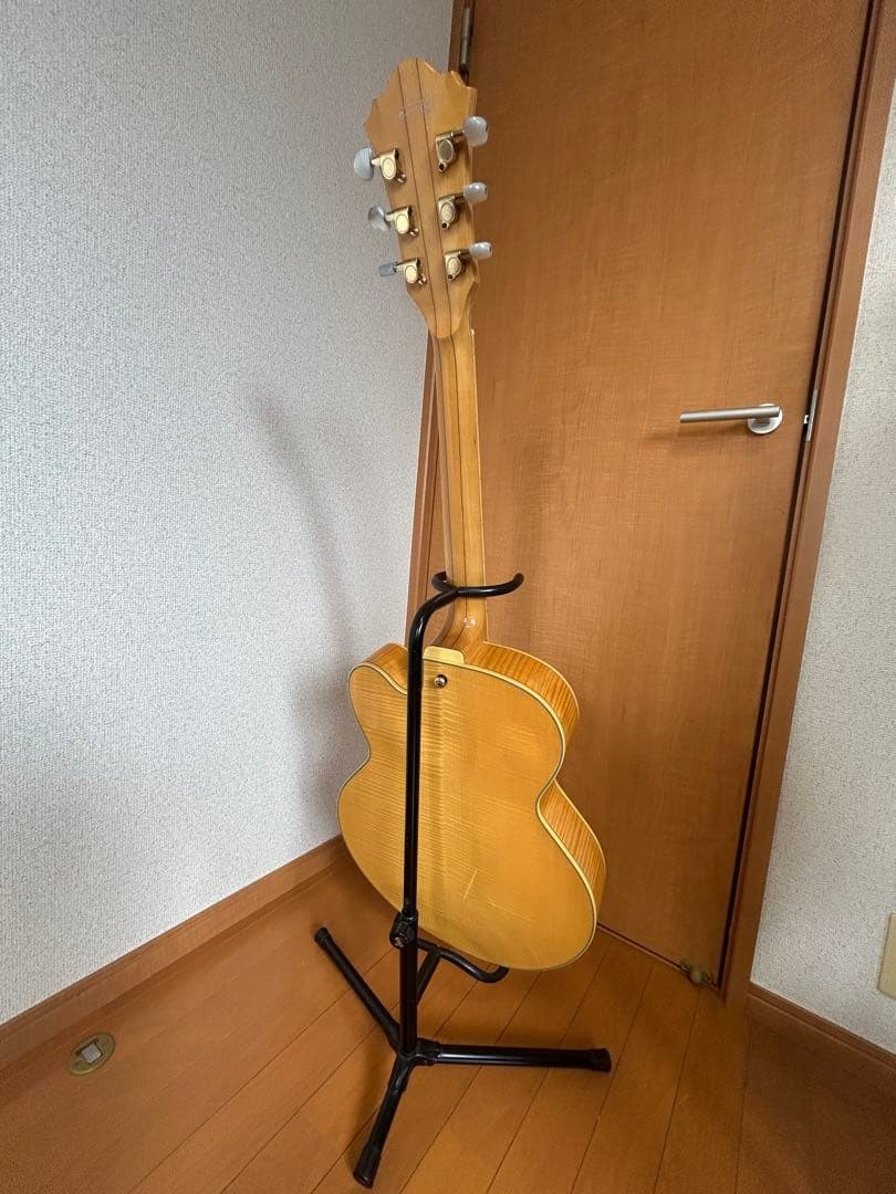 Ibanez Af105Nt With Full Aco Hard Case