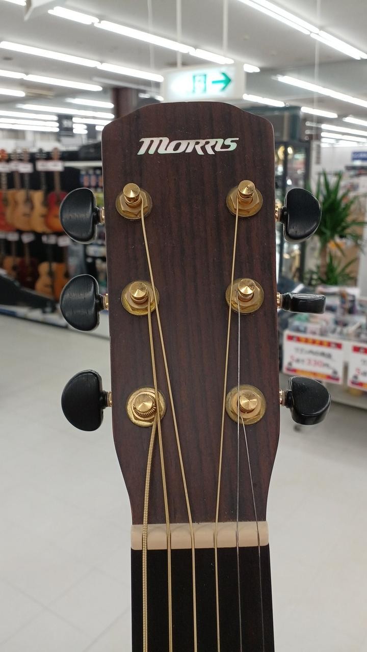 Morris SA-40 Acoustic Guitar Solid Spruce Top w/ Case Discontinued Product