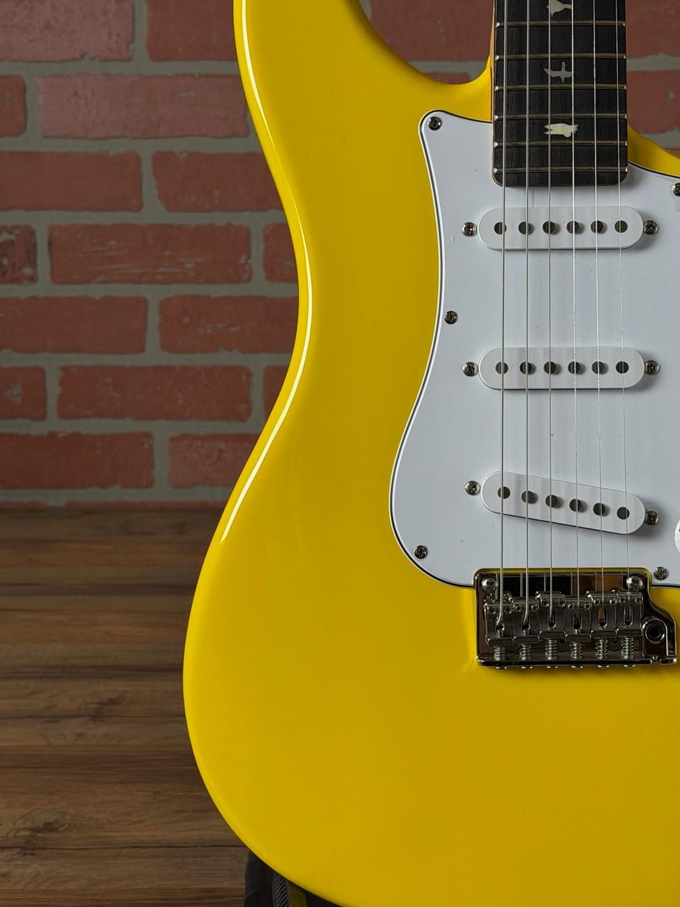 PRS SE Silver Sky Rosewood Fingerboard Electric Guitar – Dandy Lion