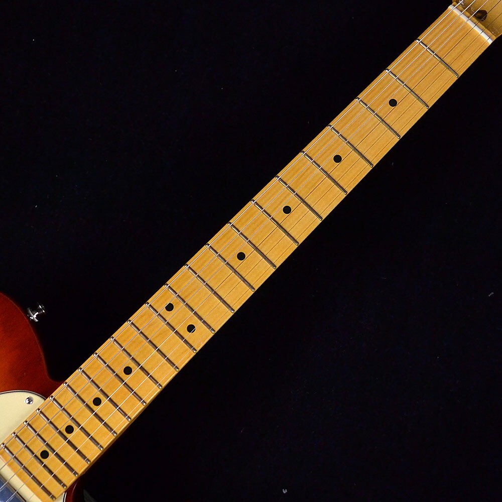 Fender American Professional Telecaster Electric Guitar Sienna Sunburst
