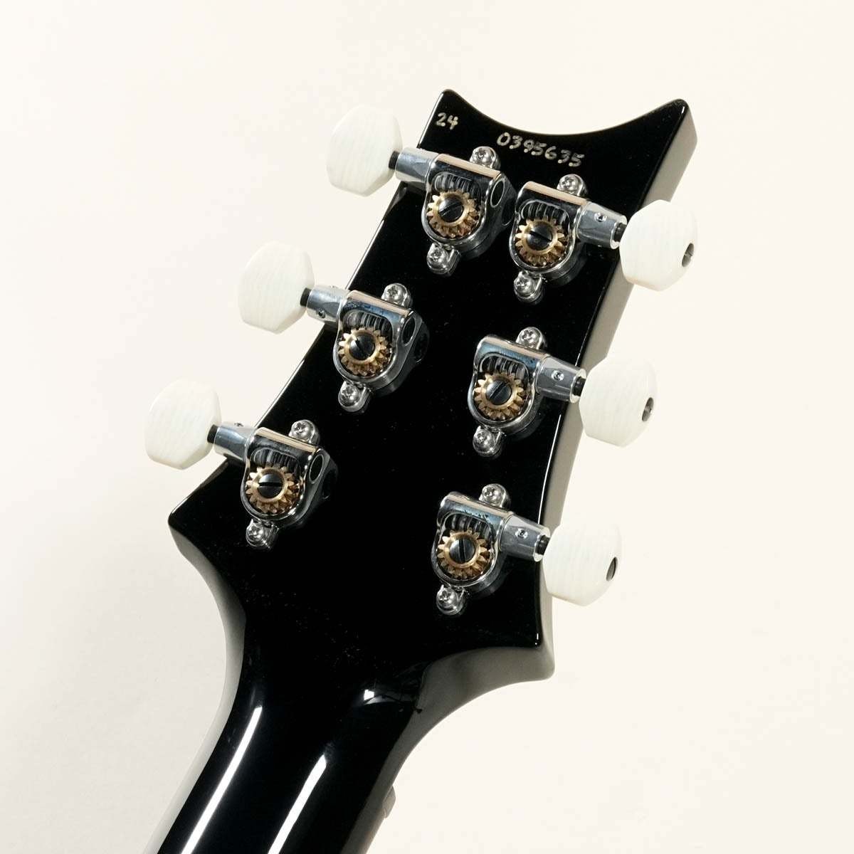 Paul Reed Smith PRS 2024 DGT Birds Inray Custom Color