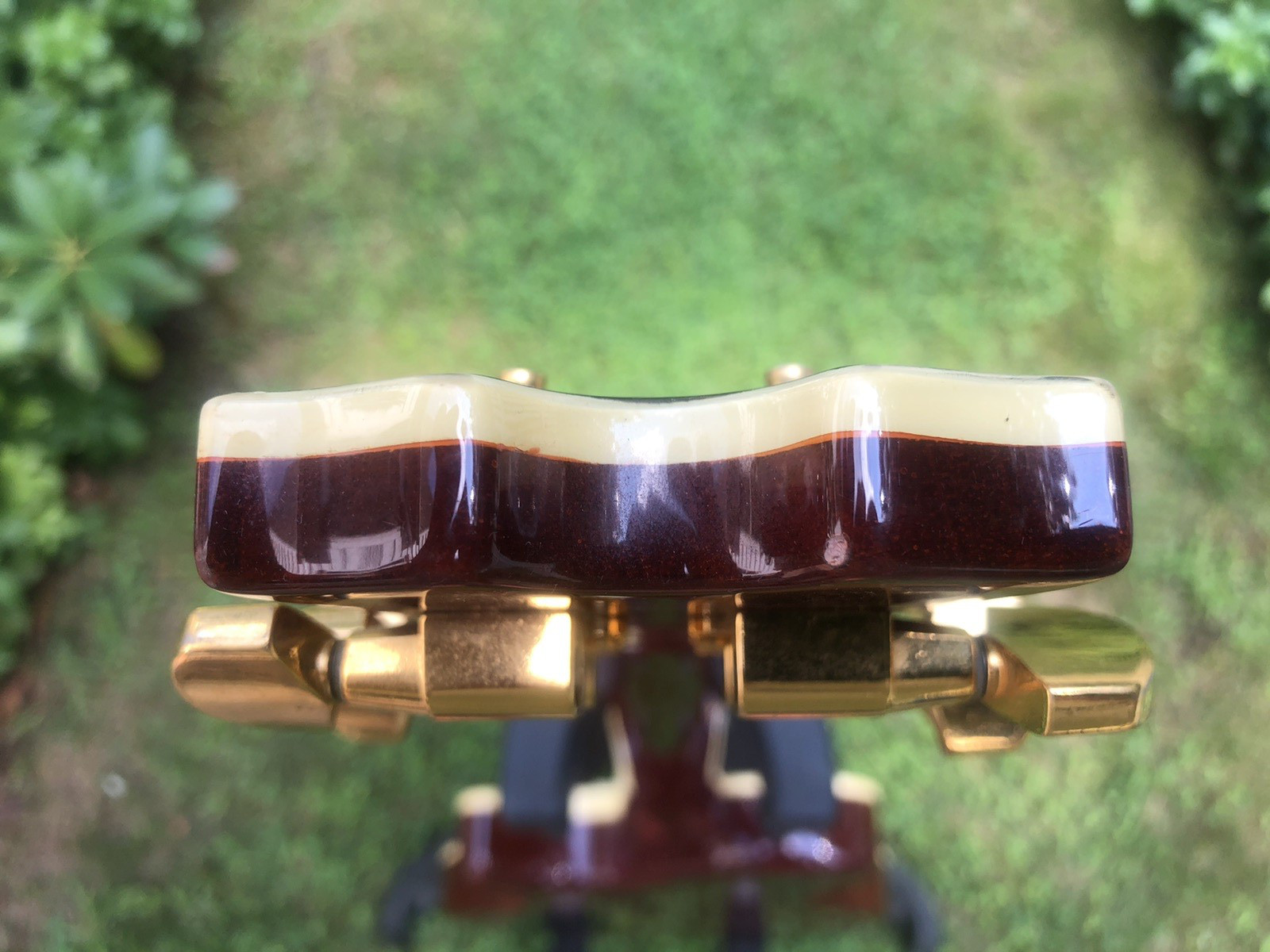Dean Czech Evo Premium