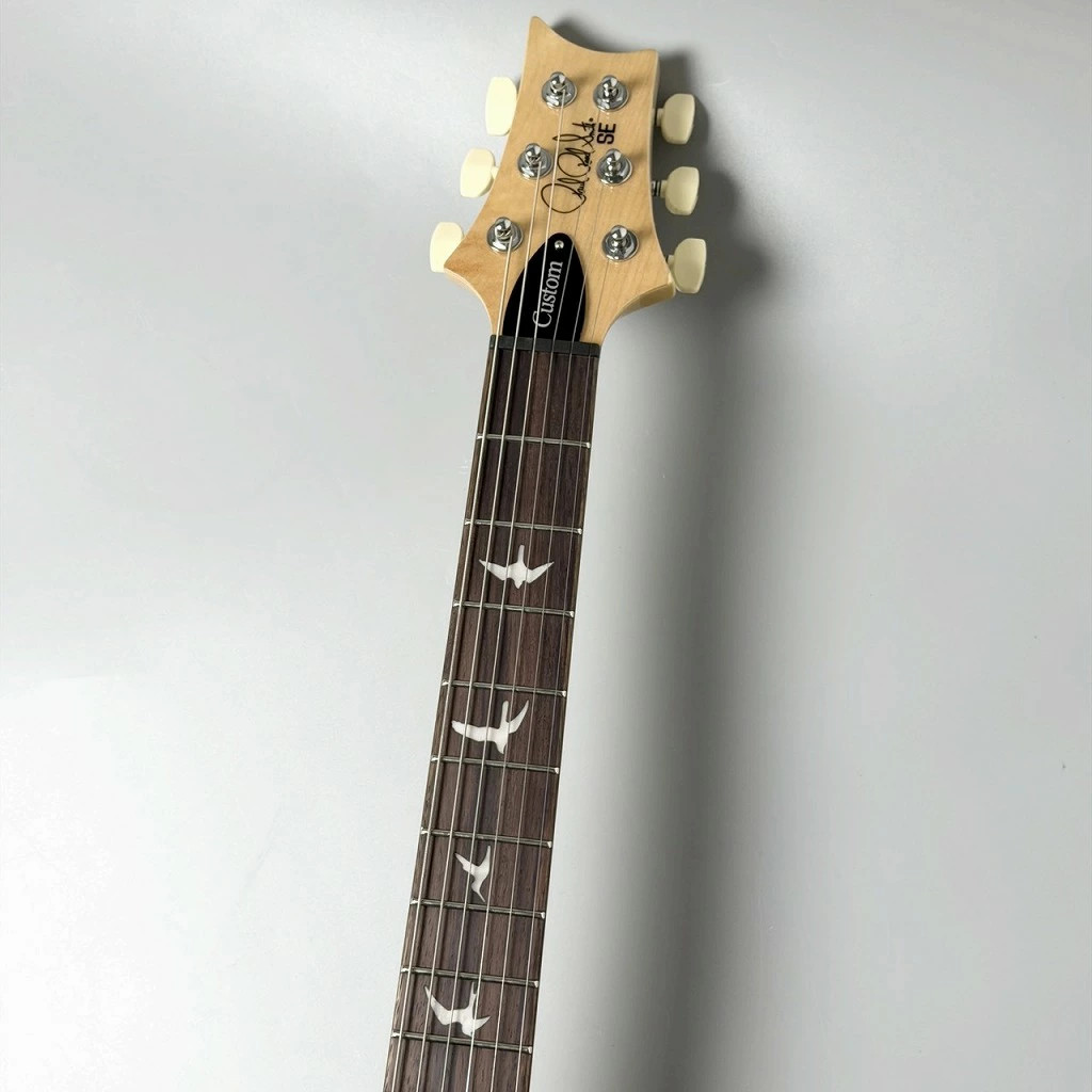 Paul Reed Smith (PRS) SE Custom 24 -Blue Matteo (Natural Back)- 3.66kg Guitar