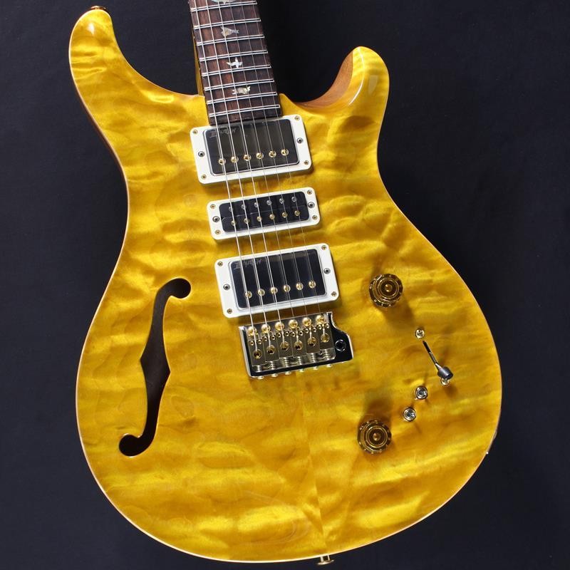 Paul Reed Smith(PRS) Wood Library Special Semi-Hollow (Honey Gold) #25 0402029