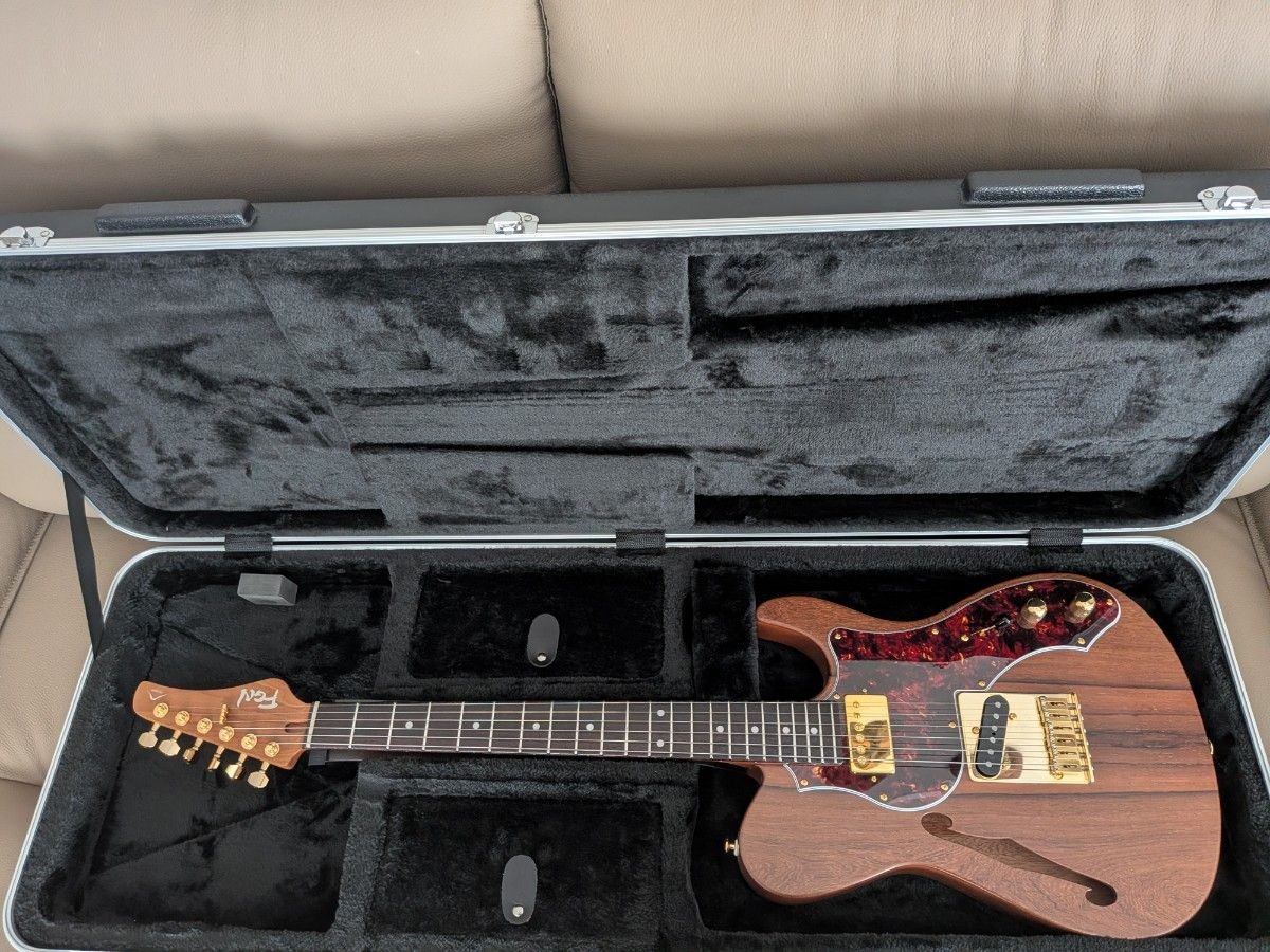 Fugen Expert Telecaster Electric Guitar Maple Fretboard Natural MINT