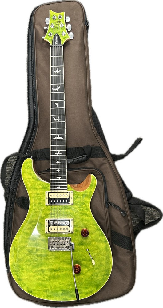 PRS SE Custom 24 Eriza Verde Electric Guitar With Soft Bag