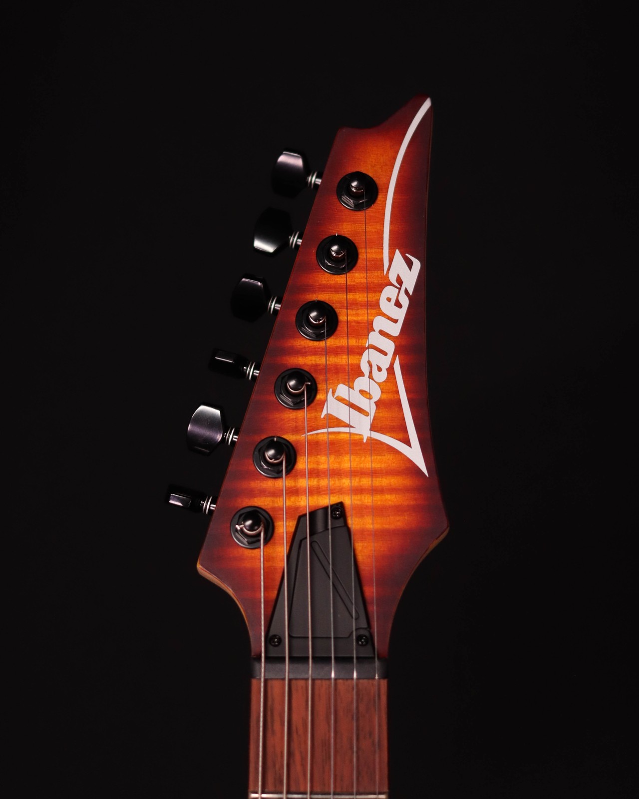 Ibanez RGA42FM Flame Maple Top Electric, Dragon Eye Flat