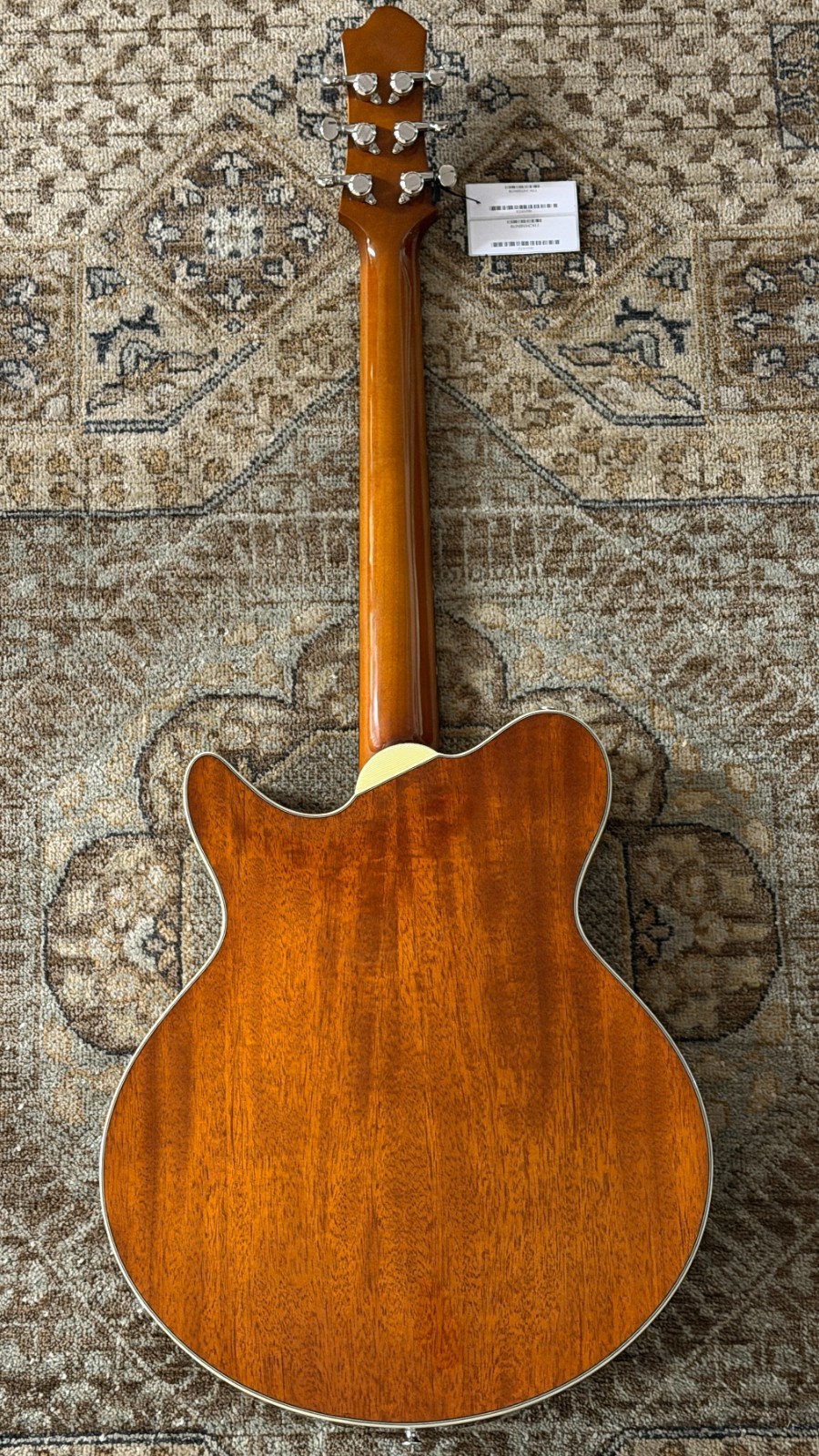 Eastman Romeo-California w/ Bare Knuckle Pickups Thinline w/ Case & Pro Setup!