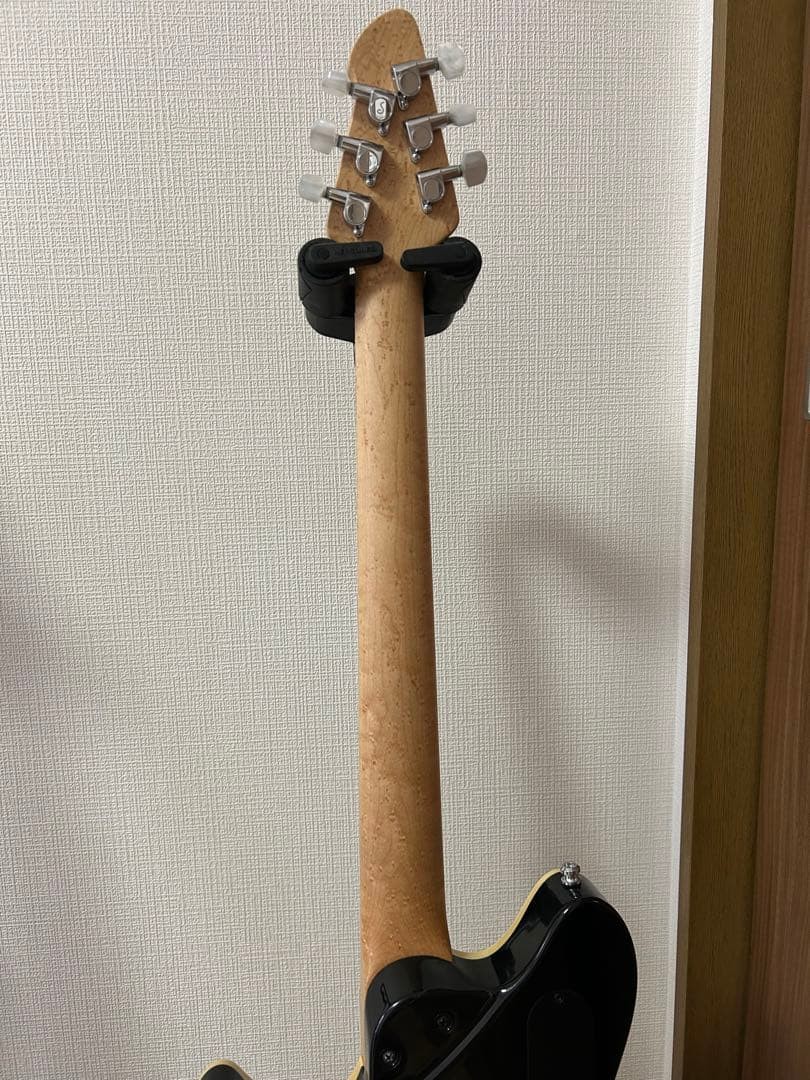 Peavey Hp2 No.MG2857