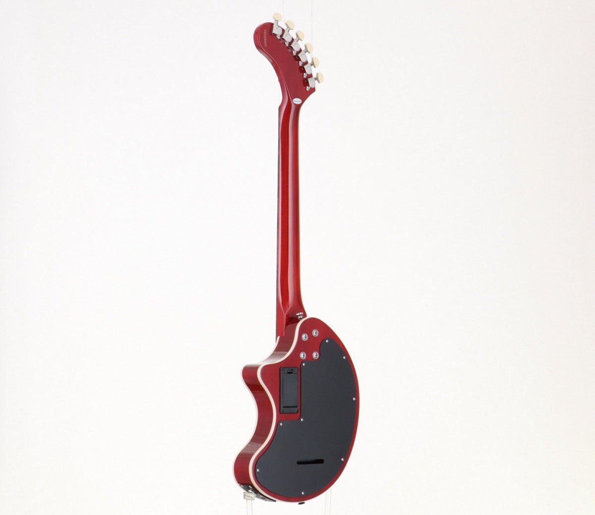 FERNANDES/BURNY ZO-3 BM/RS CR [FG22090017]