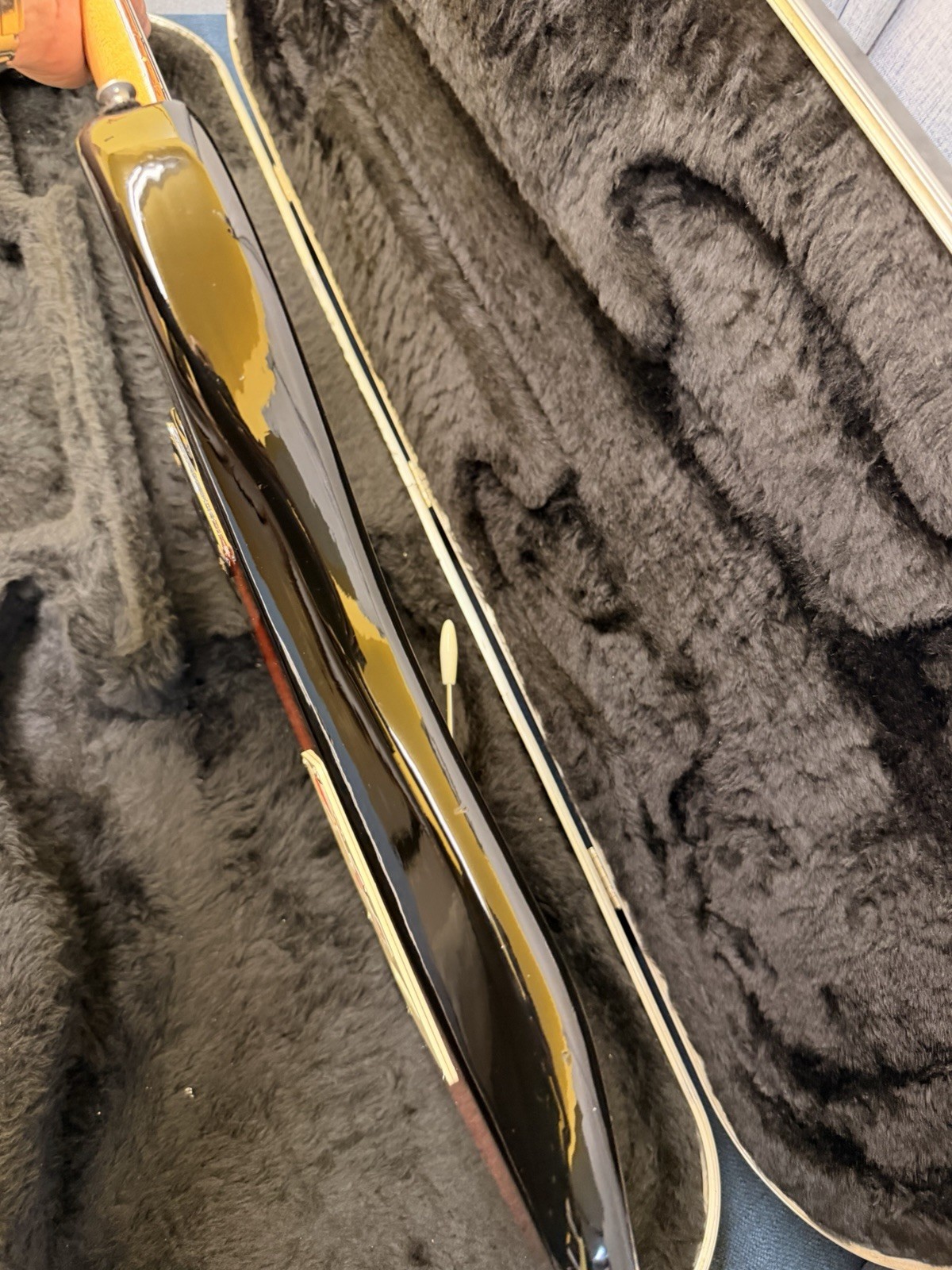 Peavey International Series Raptor 1 Electric Guitar With Hard Case