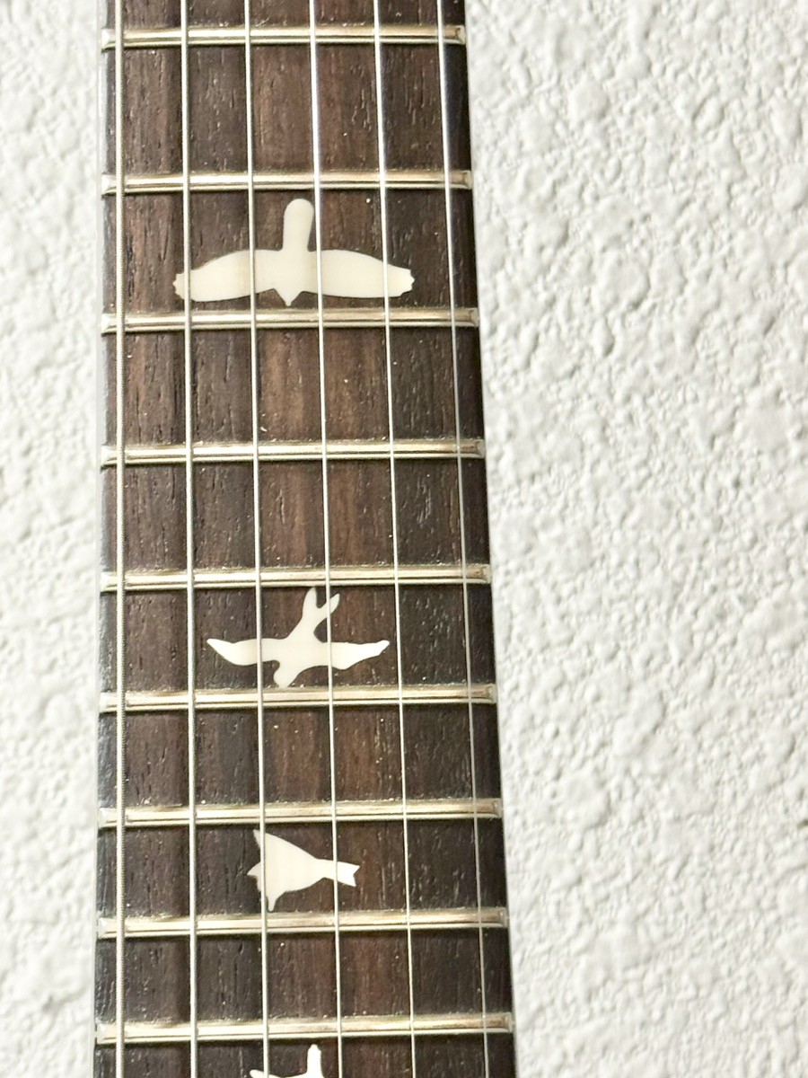 PAUL REED SMITH – PRS CE24 (P34003604)