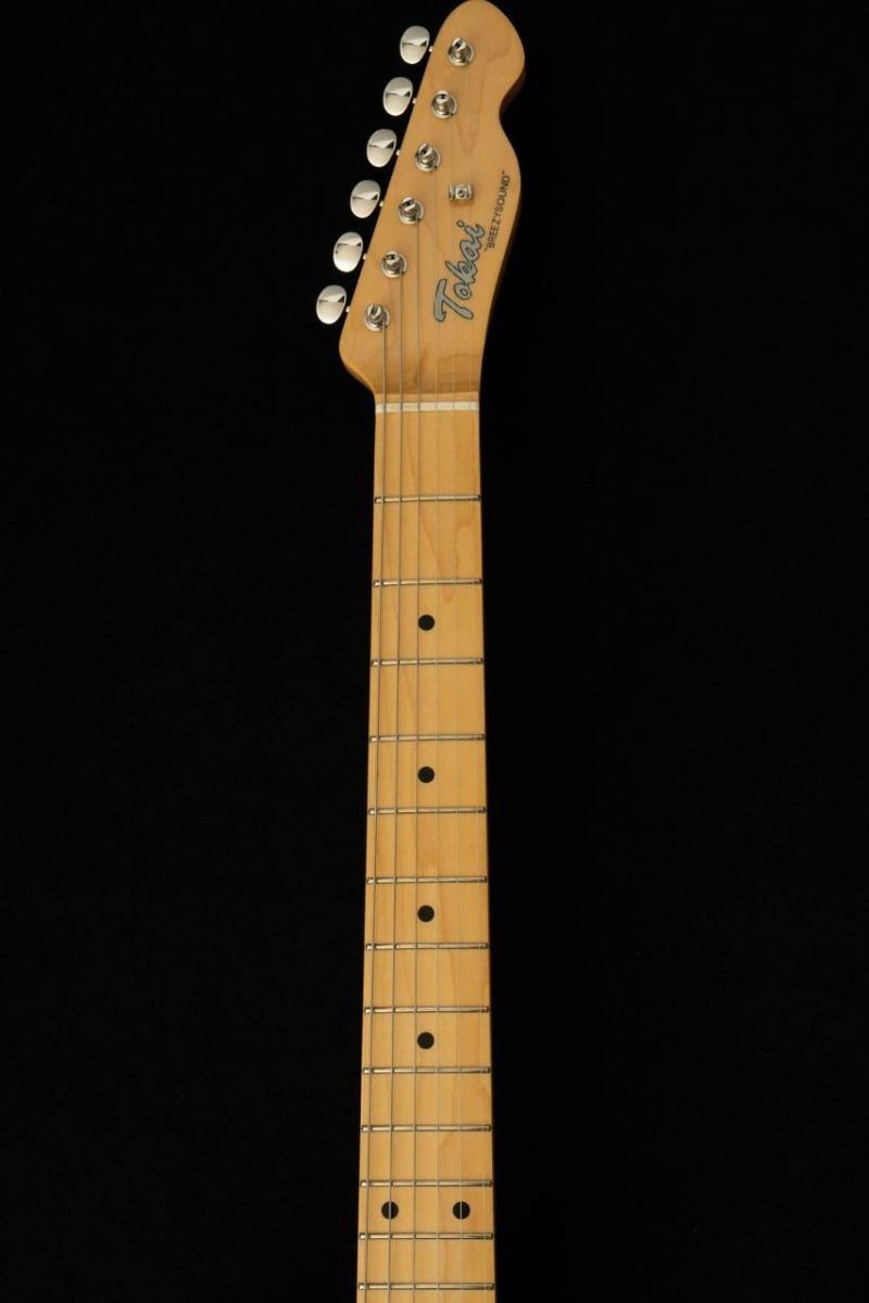 Tokai / ATE-101 – Pink Paisley / PR – [Limited Production Model] Electric Guitar