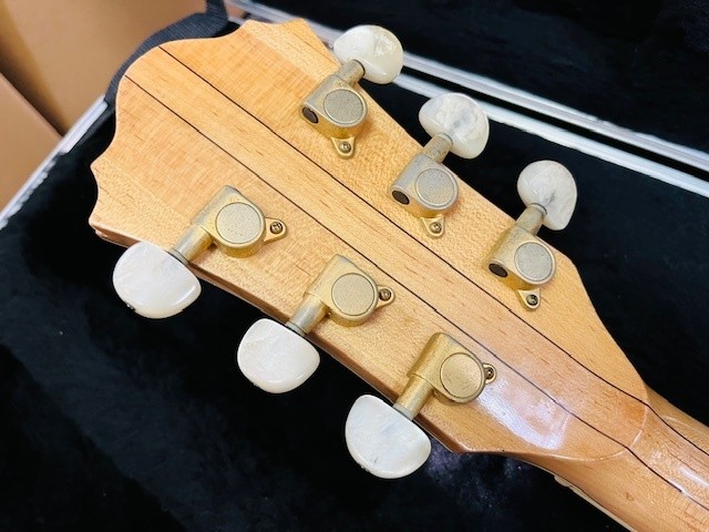 Ibanez Af105-Nt 1